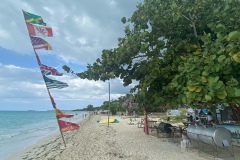 image8-30