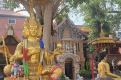 image1-2025-03-14T082612.151