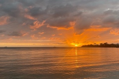 image1-2025-02-25T183012.025