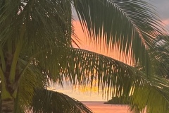 image1-2025-02-25T183040.188