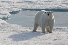 image1-2025-03-27T115540.888