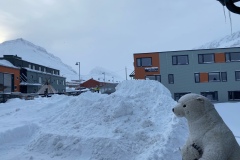 image6-88