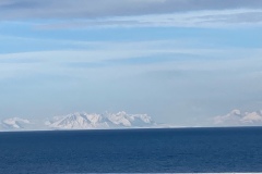 image3-2025-03-29T101847.393