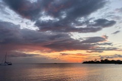 image1-2025-02-24T121902.277