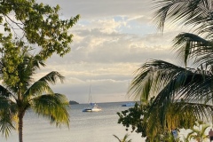 image3-2025-02-24T121828.881
