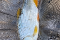 image2-2025-04-19T135735.091