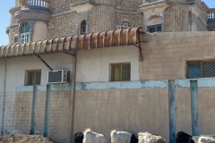 image7-35